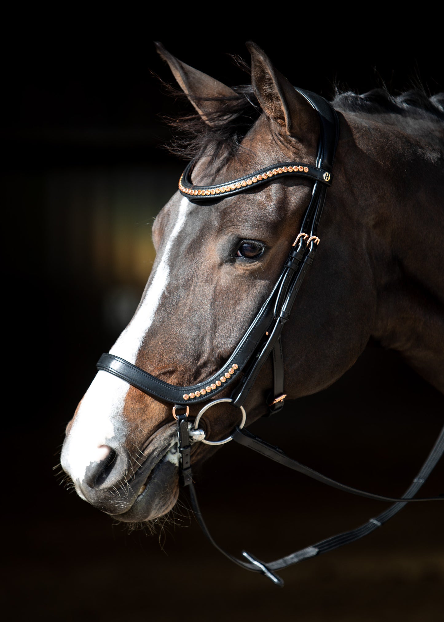 Anatomisk Hodelag Rosegold