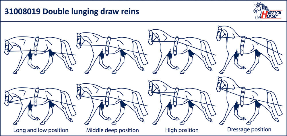 Dobbel longeringsline