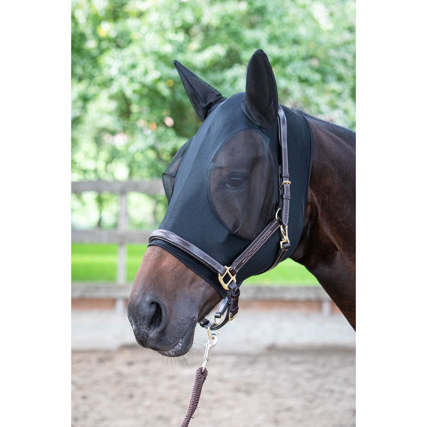 Flymask SkinFit with ears