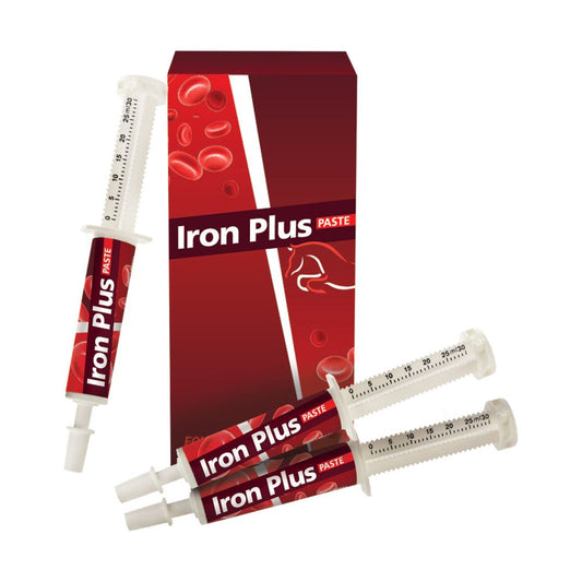 Iron Plus Paste ( B-vit og Jern )